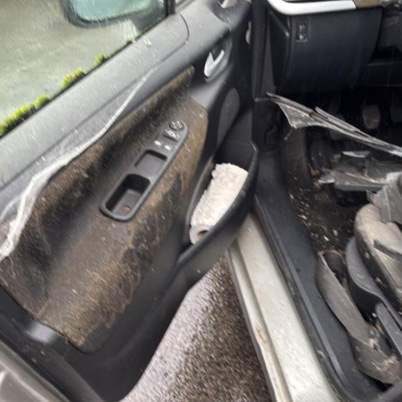 Baguette de porte avant gauche PEUGEOT 207 Photo n°14