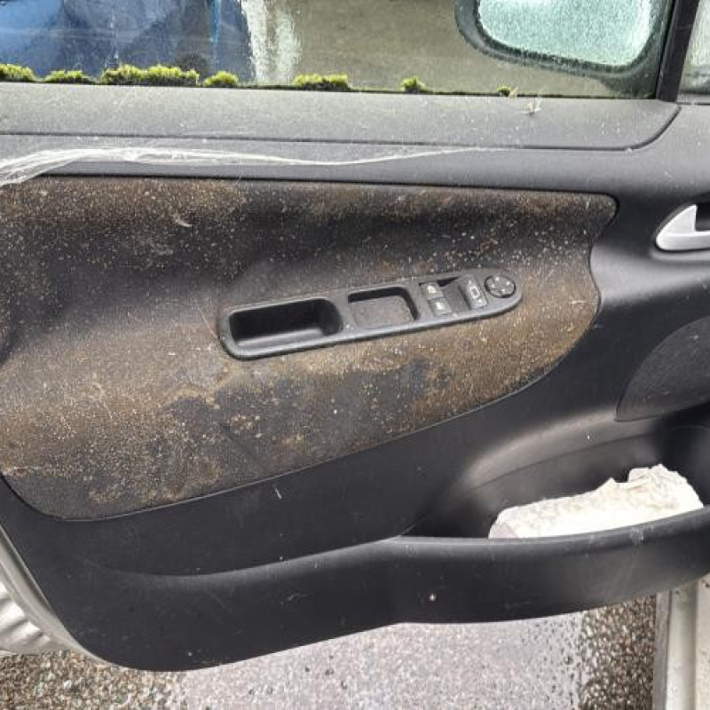 Baguette de porte avant gauche PEUGEOT 207 Photo n°16