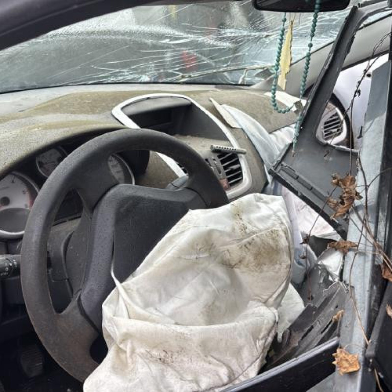 Baguette de porte avant gauche PEUGEOT 207 Photo n°19