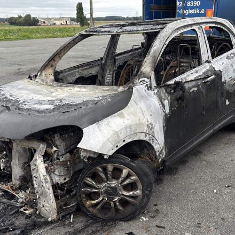 Baguette de porte arriere droite FIAT 500X Photo n°7