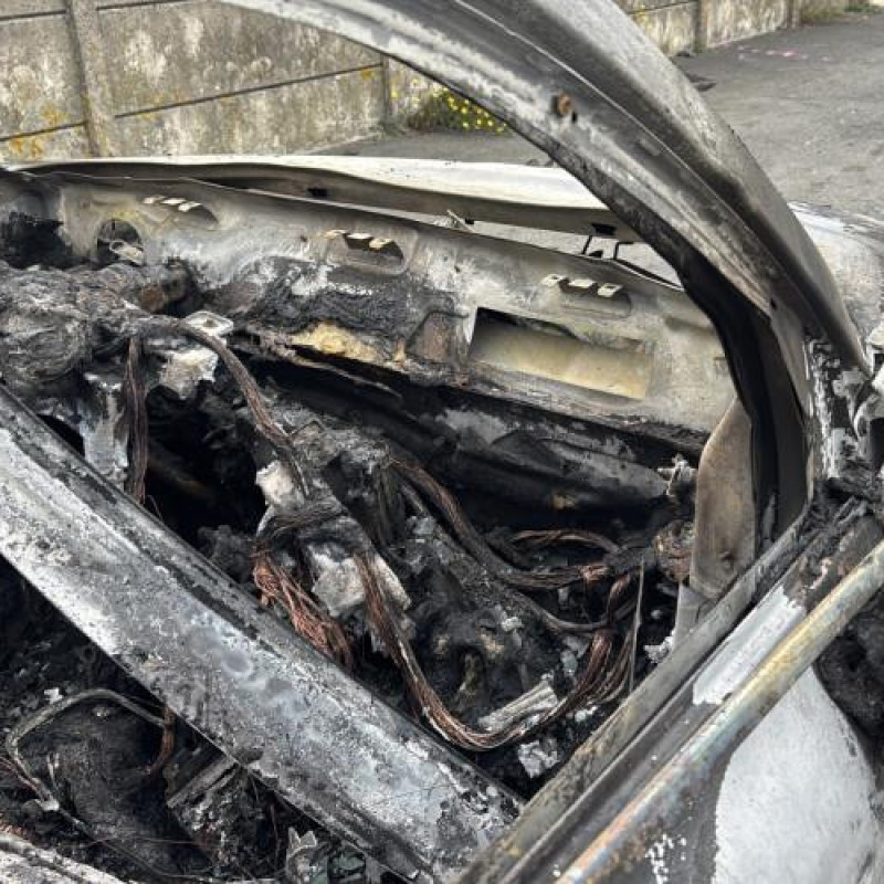 Baguette de porte arriere droite FIAT 500X Photo n°15