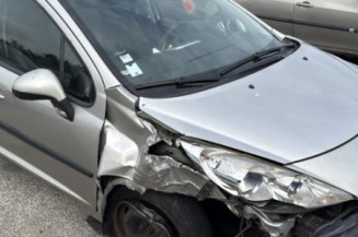 Cremaillere assistee PEUGEOT 207