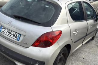 Cremaillere assistee PEUGEOT 207
