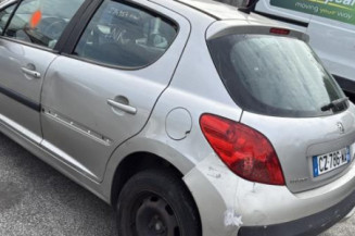 Cremaillere assistee PEUGEOT 207