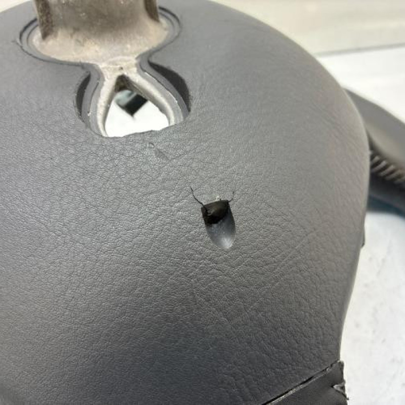 Volant RENAULT GRAND MODUS Photo n°8