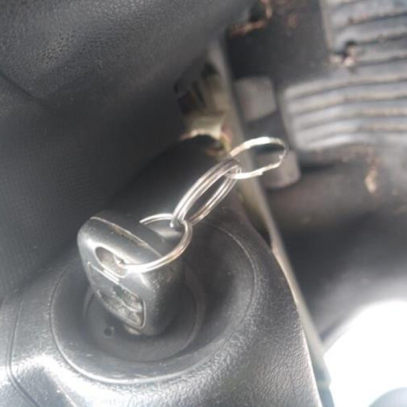 Repetiteur clignotant avant droit  (Feux) PEUGEOT 206+ Photo n°5