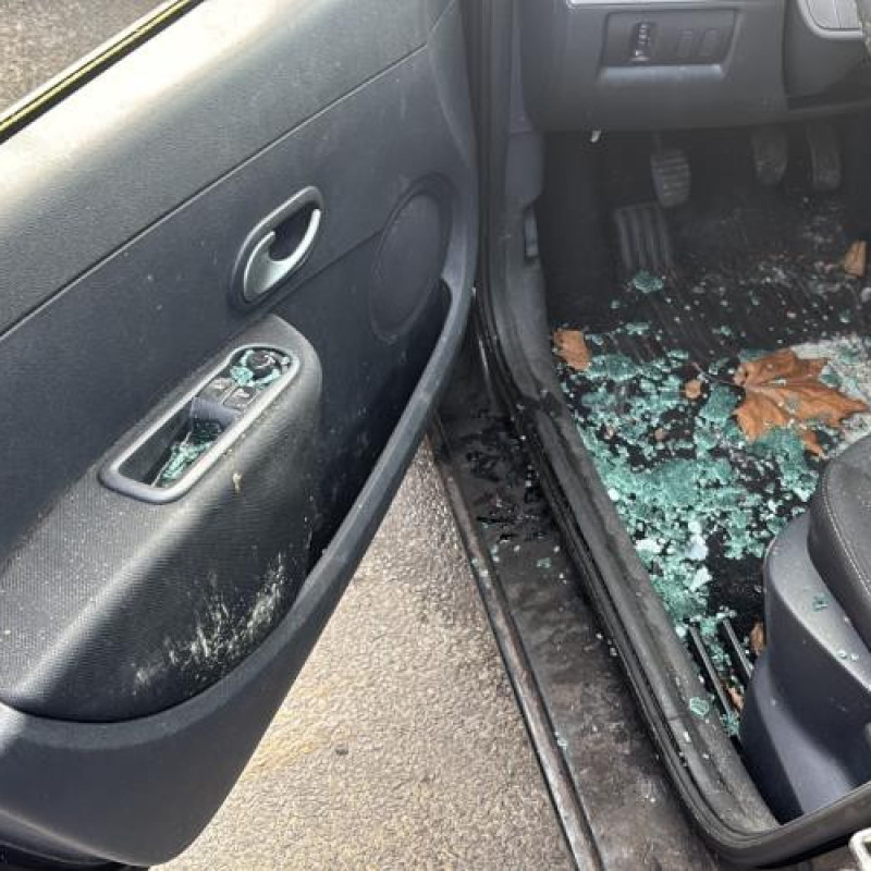 Pulseur d'air RENAULT CLIO 3 Photo n°12