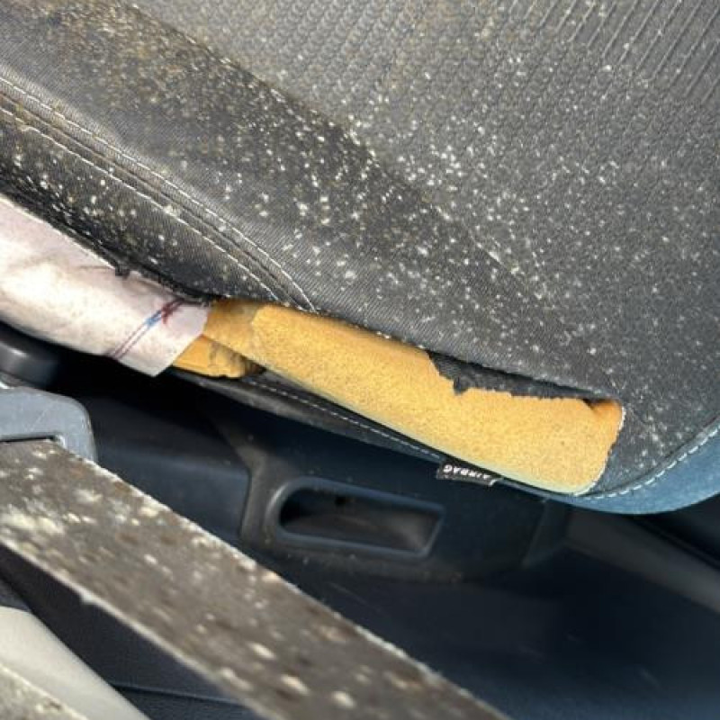 Pulseur d'air RENAULT CLIO 3 Photo n°16