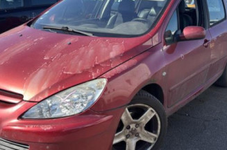 Poignee porte avant gauche PEUGEOT 307