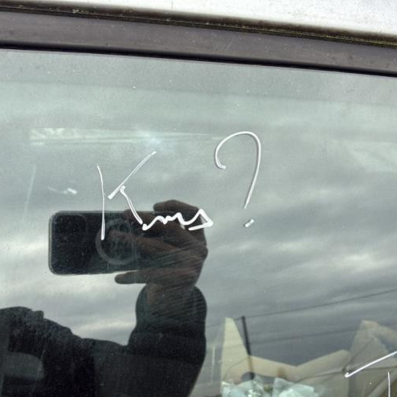 Pulseur d'air RENAULT SCENIC 2 Photo n°13