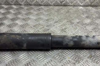 Amortisseur arriere gauche RENAULT SCENIC 4 Photo n°1