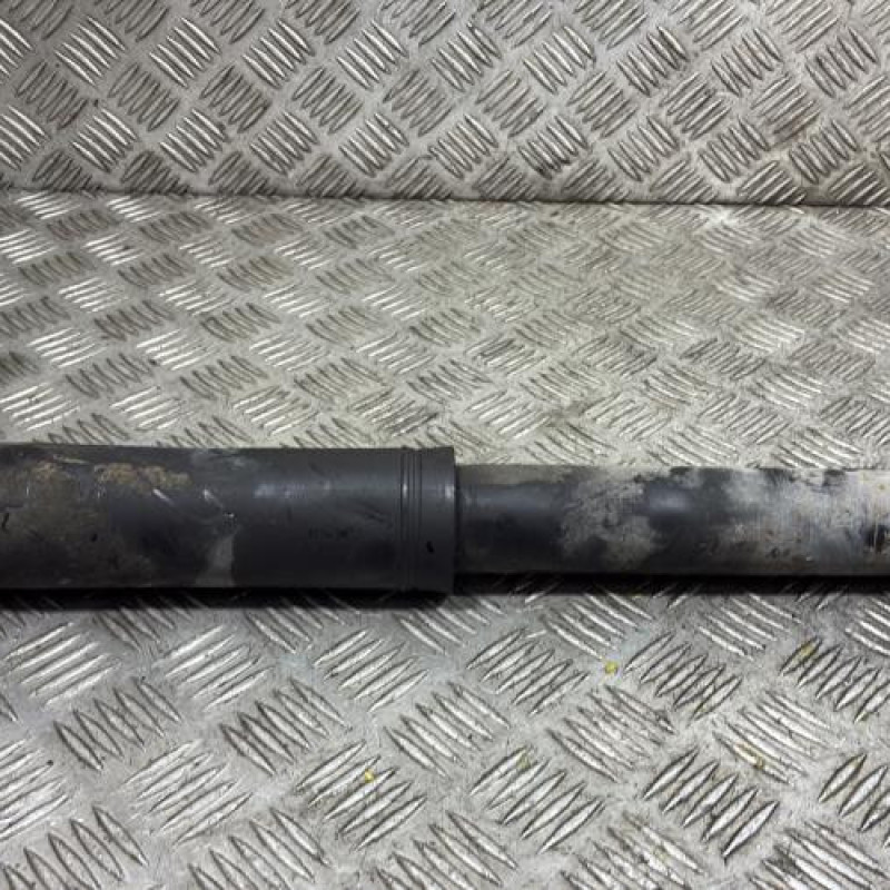 Amortisseur arriere gauche RENAULT SCENIC 4 Photo n°1