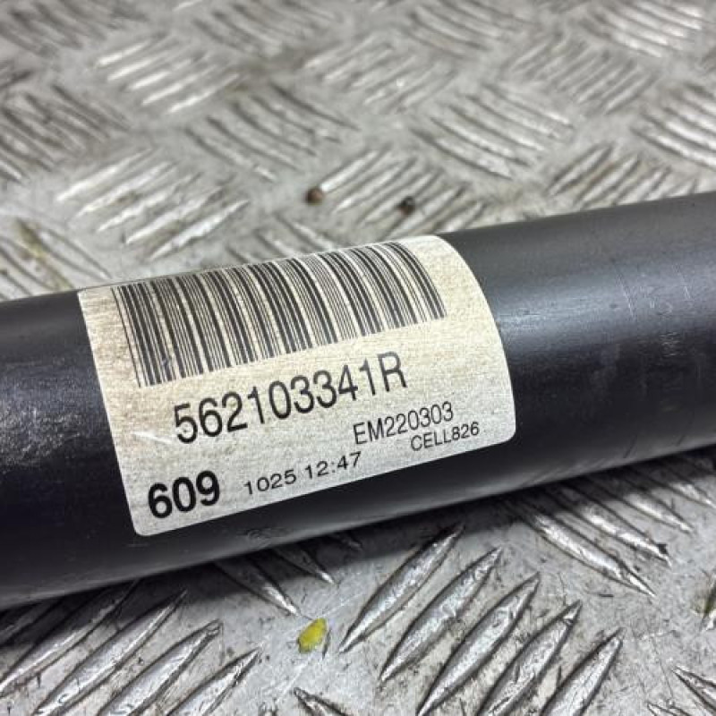 Amortisseur arriere droit RENAULT MEGANE 4 Photo n°3