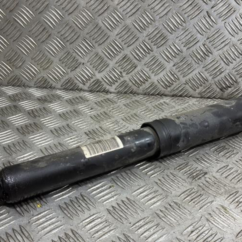 Amortisseur arriere gauche RENAULT MEGANE 4 Photo n°1