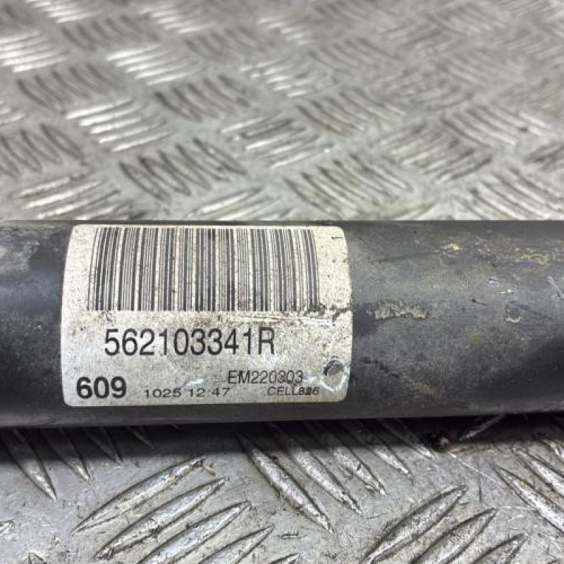 Amortisseur arriere gauche RENAULT MEGANE 4 Photo n°4