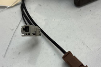 Antenne NISSAN JUKE 1