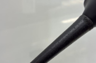 Antenne NISSAN JUKE 1