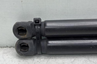 Verin de coffre BMW X3 F25