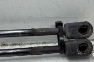 Verin de coffre BMW X3 F25