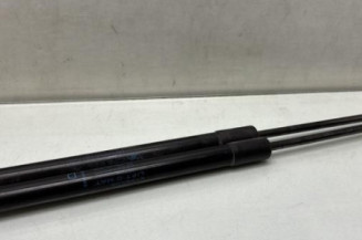 Verin de coffre RENAULT SCENIC 4 Photo n°1