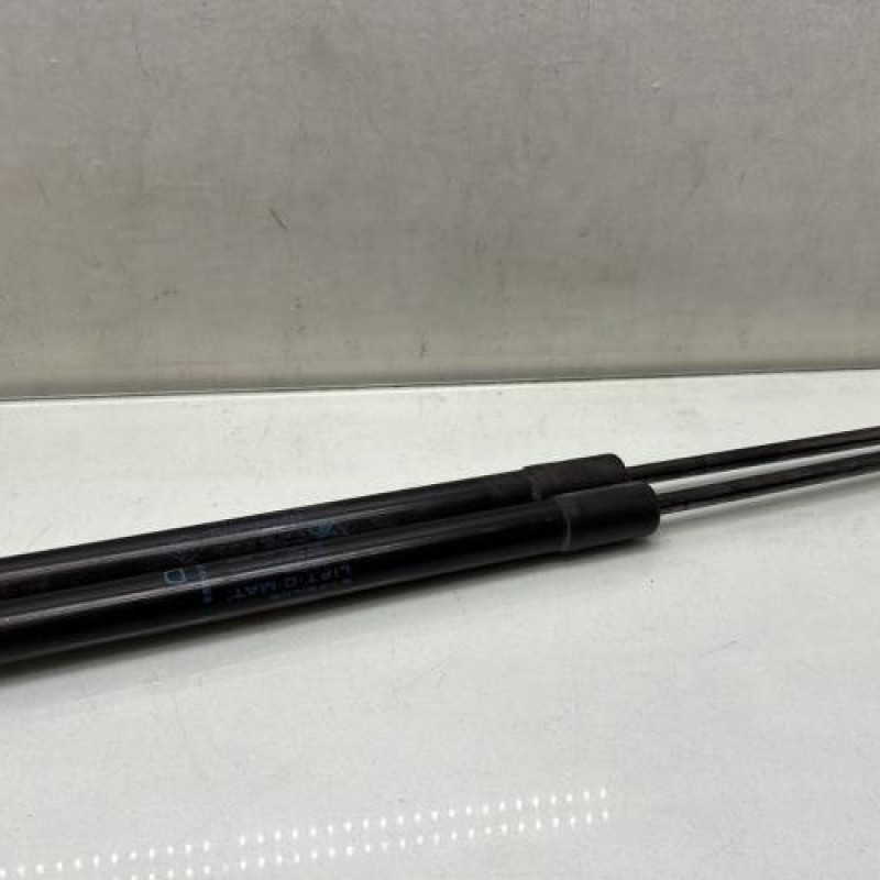 Verin de coffre RENAULT SCENIC 4 Photo n°1