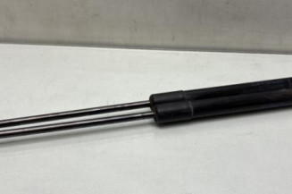 Verin de coffre RENAULT SCENIC 4