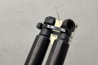 Verin de coffre RENAULT SCENIC 4