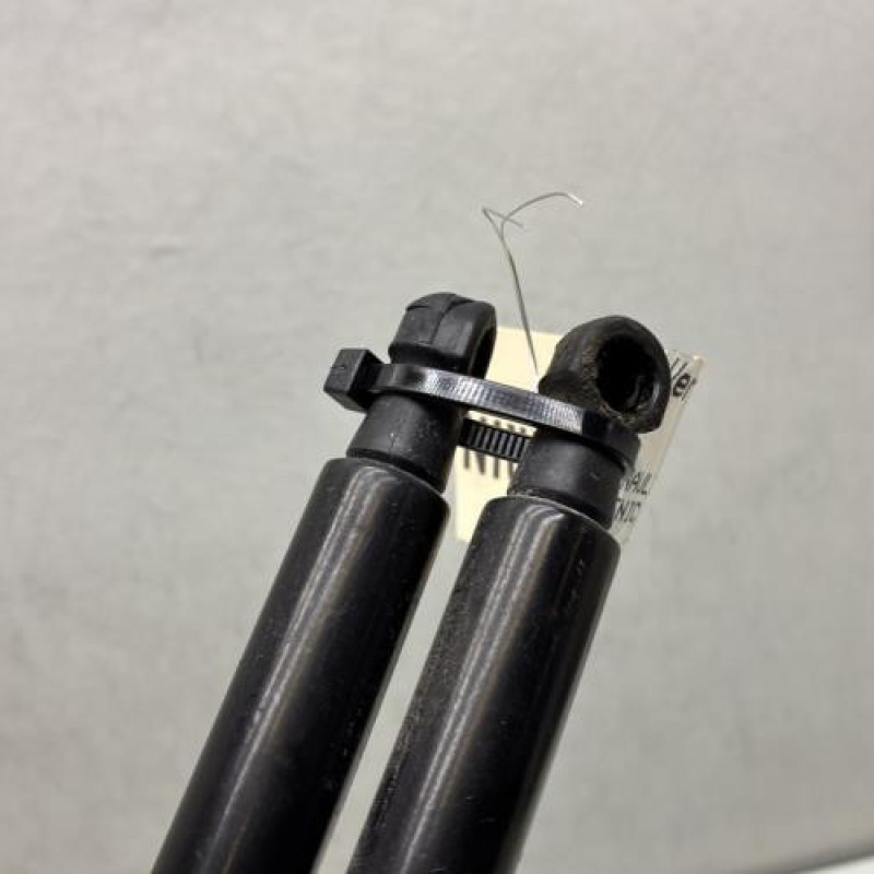 Verin de coffre RENAULT SCENIC 4 Photo n°3