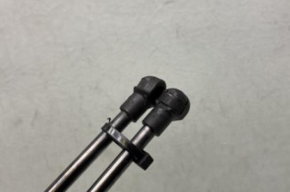 Verin de coffre RENAULT SCENIC 4