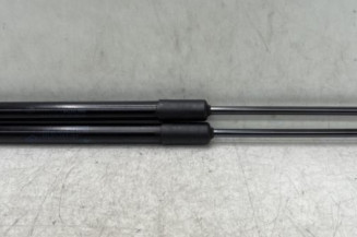 Verin de coffre RENAULT MEGANE 4 Photo n°1