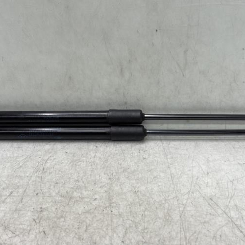 Verin de coffre RENAULT MEGANE 4 Photo n°1