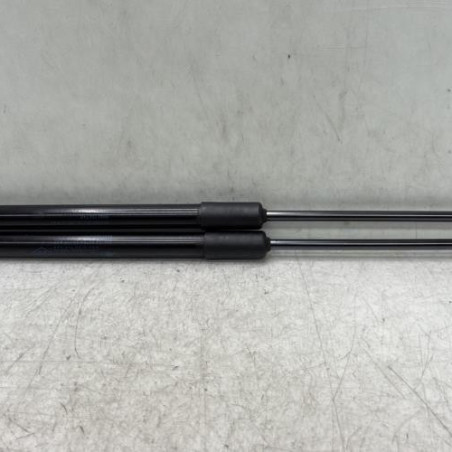 Verin de coffre RENAULT MEGANE 4 Photo n°1