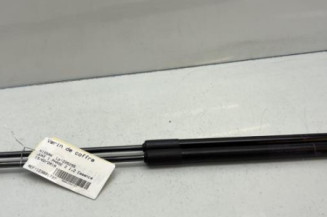 Verin de coffre NISSAN JUKE 1 Photo n°1