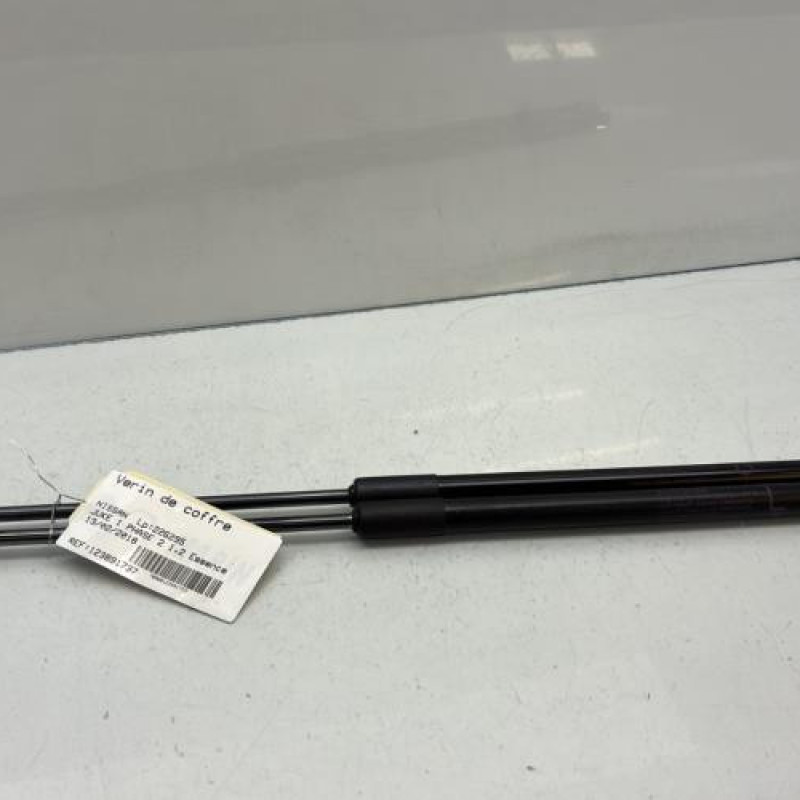 Verin de coffre NISSAN JUKE 1 Photo n°1