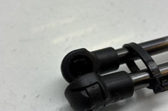 Verin de coffre NISSAN JUKE 1