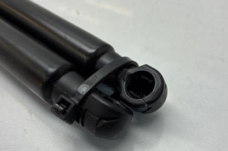 Verin de coffre NISSAN JUKE 1