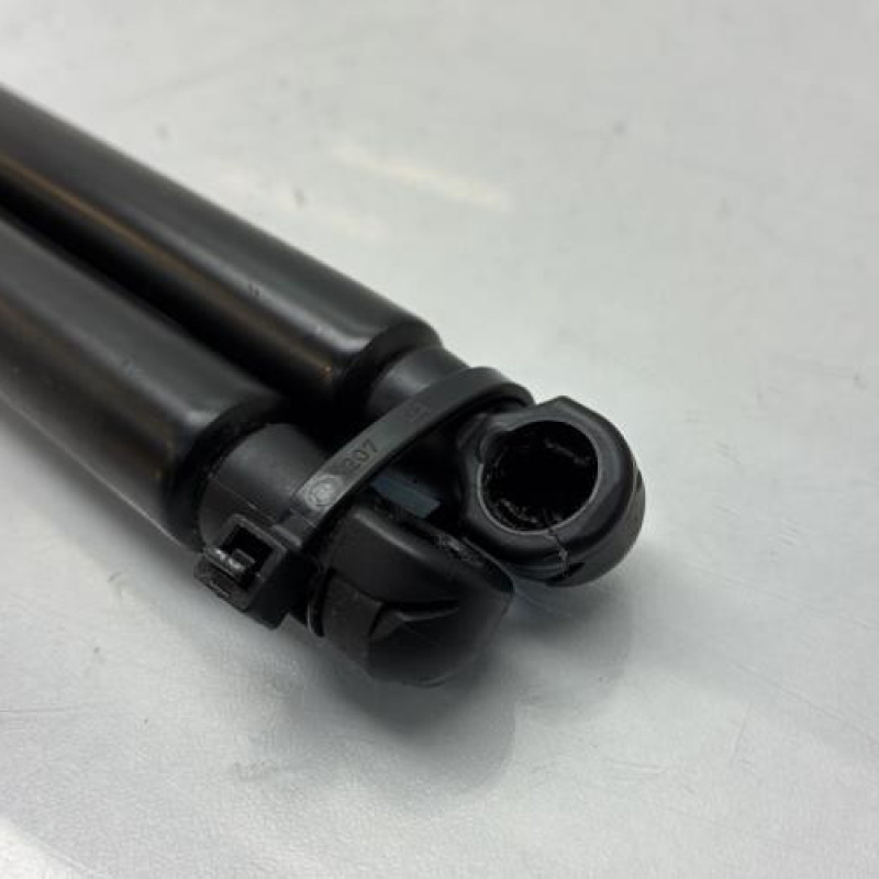 Verin de coffre NISSAN JUKE 1 Photo n°3