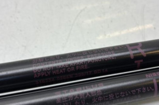 Verin de coffre NISSAN JUKE 1