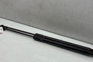 Verin de coffre RENAULT GRAND SCENIC 4 Photo n°1