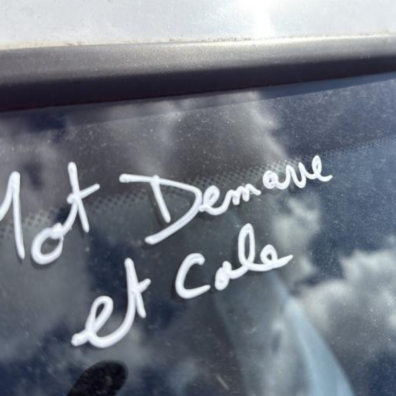 Interrupteur de leve vitre avant gauche BMW SERIE 3 E90 Photo n°13