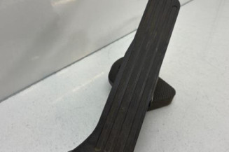 Pedale d'accelerateur VOLKSWAGEN PASSAT 6