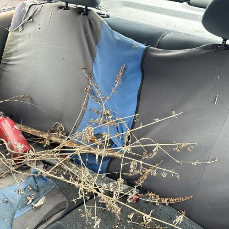 Interrupteur de leve vitre avant gauche RENAULT MEGANE 1 Photo n°10