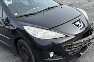 Boitier BSI PEUGEOT 207