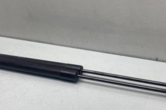 Verin de coffre RENAULT SCENIC 3 Photo n°1