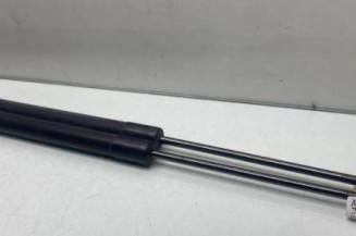 Verin de coffre RENAULT SCENIC 3