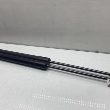 Verin de coffre RENAULT SCENIC 3