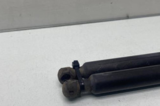 Verin de coffre RENAULT SCENIC 3