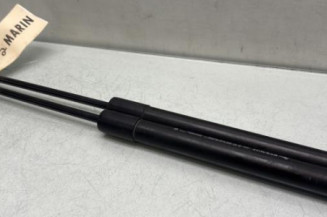 Verin de capot RENAULT MEGANE 4 Photo n°1