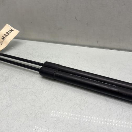 Verin de capot RENAULT MEGANE 4 Photo n°1