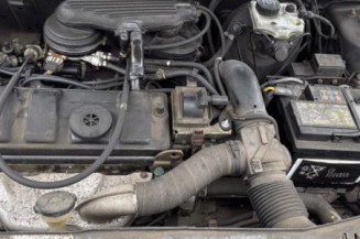 Poignee porte avant gauche PEUGEOT 106